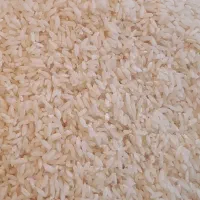 برنج چمپا تمیز سوسن موجوده