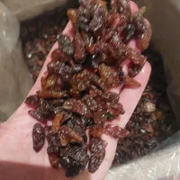 کشمش آفتابی  خراسان