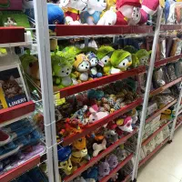 اسباب بازی و لوازم بازی سگ و گربه