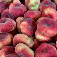 نهال هلو انجیری خونی بصورت پیشفروش|خدمات باغبانی و درختکاری|فردوس (خراسان), |دیوار