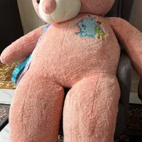 شاسخین 2 متری