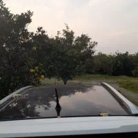 ام وی ام x33sاتومات|خودرو سواری و وانت|تنکابن, |دیوار