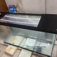 فروش اکواریوم و پایه و چراغ داخل