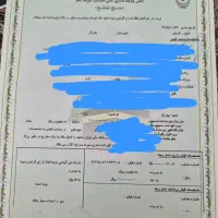 فروش فیش حج تعمتع