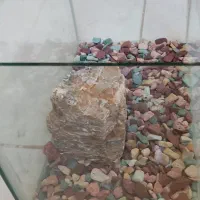 ۲ عدد اکواریوم با سنگ تزئینی و شن|ماهی|فولادشهر, A2|دیوار