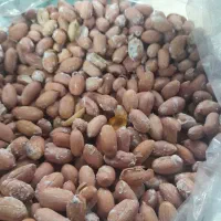 بادام زمینی تازه