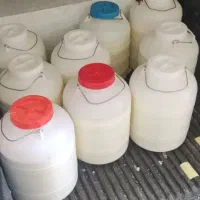 ماست دبه ای برای رستورانها و شیرینی پزیها