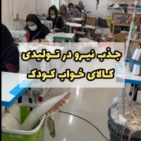 نیروی کار حقوق مطابق قانون کار با بیمه