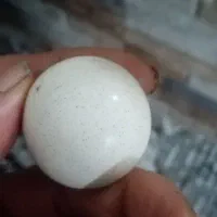 سنگ الماس و سنگ جواهر