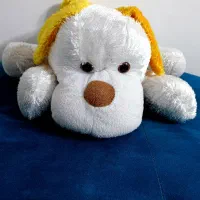 عروسکای پولیشی|اسباب‌‌بازی|گرگان, |دیوار