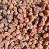 برحی درجه یک آبادان|خوردنی و آشامیدنی|تهران, عباسی|دیوار