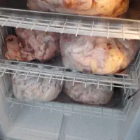 ضایعات مرغ