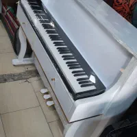 پیانو همراه کابین هایگلس ترک|پیانو، کیبورد، آکاردئون|قدس, شهر‌قدس|دیوار