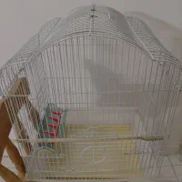 قفس پرنده