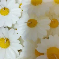 دست ساز|صنایع دستی و سایر لوازم تزئینی|امیدیه, |دیوار