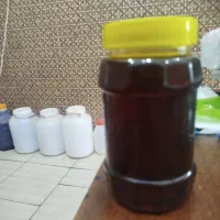 عسل درمانی تضمینی شرطی