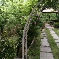 باغ بهشت جنگل2نبش کنتورکرج سهیلیه زعفرانیه کردان|فروش زمین و ملک کلنگی|کرج, عظیمیه|دیوار