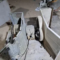 فن سالم