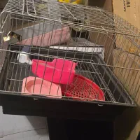 قفس خرگوش|لوازم جانبی حیوانات|تهران, تهرانپارس جنوبی|دیوار