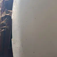 کاپوت پژو پارس ۴میلیون