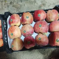 سیب زرد|خوردنی و آشامیدنی|بیرجند, |دیوار