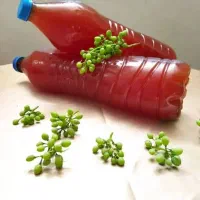 آبغوره