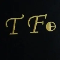 ویولن TF 142
