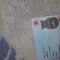 مدارک پیدا شده محمد علی صفایی