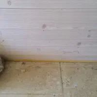 کانتینر شش متری|مصالح و تجهیزات ساختمان|صدرا-فارس, باغشهر بهارستان صدرا|دیوار