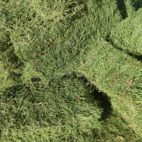 یونجه درجه یک|خدمات باغبانی و درختکاری|کامیاران, |دیوار