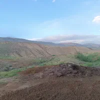 کود حیوانی