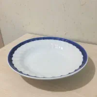 تعداد ۱۳ عدد بشقاب