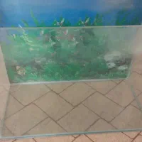 آکواریوم شیشه خم