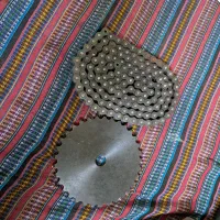 دنده و زنجیر