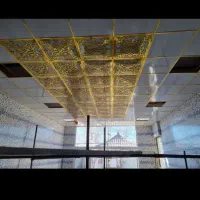 نصاب حرفه ای سقف کاذب|خدمات پیشه و مهارت|محمدشهر, محمدشهر|دیوار