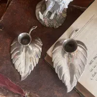 شمعدانی سیلورپلیت