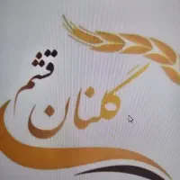 استخدام شاطر فانتزی