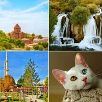 تور اقساط وان