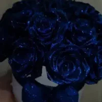 کادو ولنی|گل مصنوعی|ارومیه, |دیوار