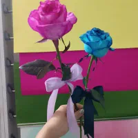 شاخه گل رز صورتی و آبی /باکس گل مینیمال|گل و گیاه طبیعی|شیراز, عفیف‌آباد|دیوار