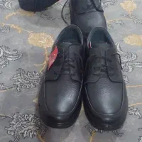 کفش مردانه|کیف، کفش، کمربند|کرج, حصارک پایین|دیوار