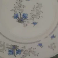 پارس اوپال
