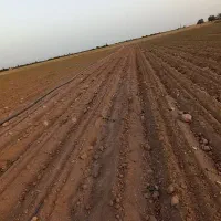 زمین کشاورزی قطره ای