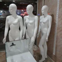 مانکن پویا/بالا تنه پلاستیکی|فروشگاه و مغازه|هشترود, |دیوار