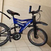 دوچرخه 20