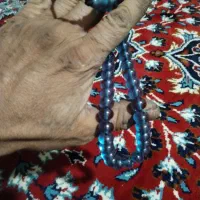 تسبیح صندلوس|جواهرات|نهاوند, |دیوار