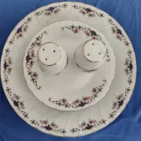 سرویس چینی (خیارخوری) مرجان