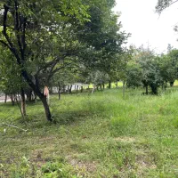 ۱۰۰۰ متر زمین مسکونی بر اصلی جاده بی تم شاندرمن