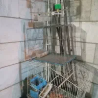 قفس پرنده حیوانات