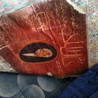 فرش ۱۲متری ۶متری و۴متری درحد اک مناسب جهیزیه|فرش|مشهد, خواجه ربیع|دیوار